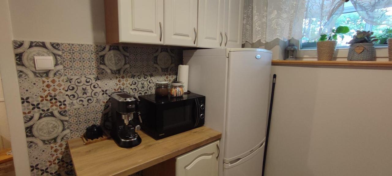 Retrospekcja - Apartament W Centrum ザコパネ エクステリア 写真