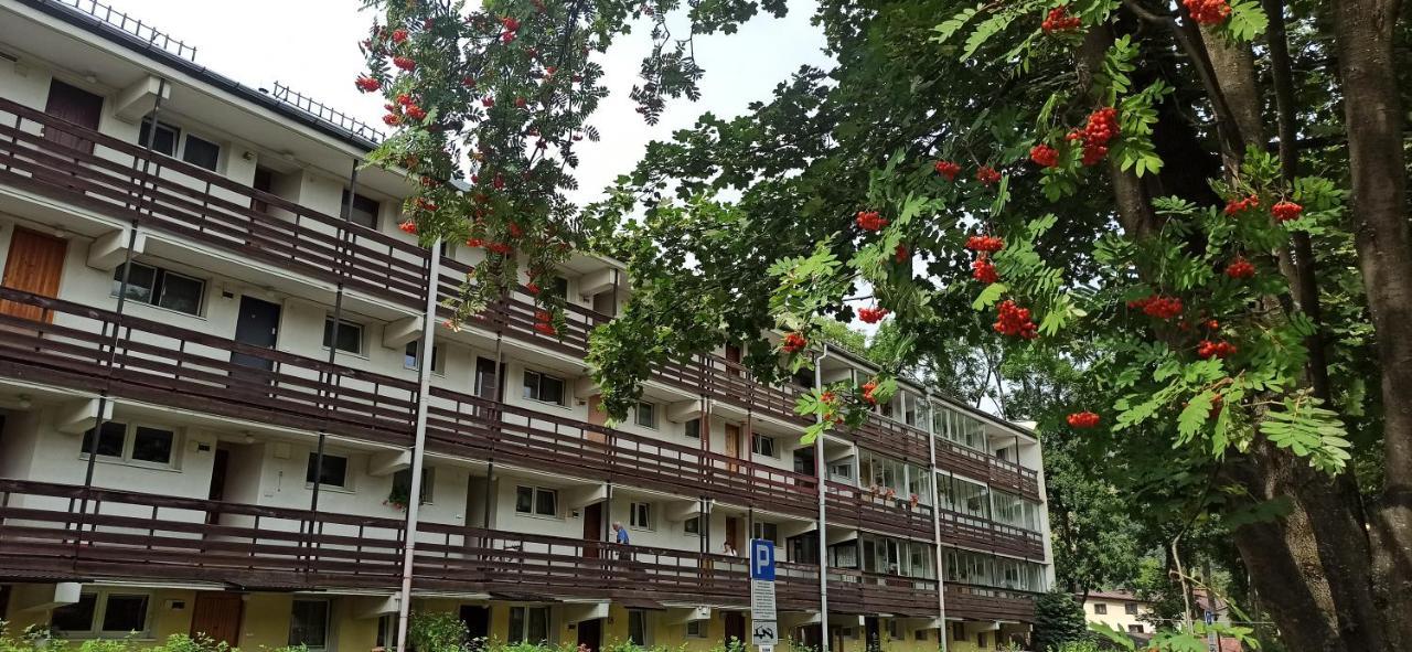 Retrospekcja - Apartament W Centrum ザコパネ エクステリア 写真