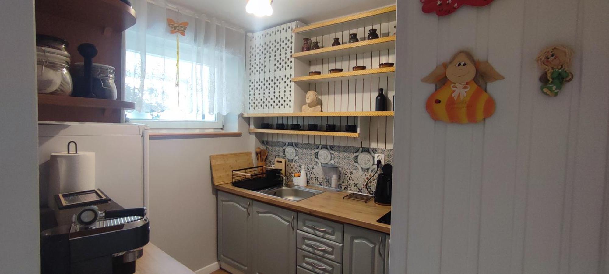 Retrospekcja - Apartament W Centrum ザコパネ エクステリア 写真